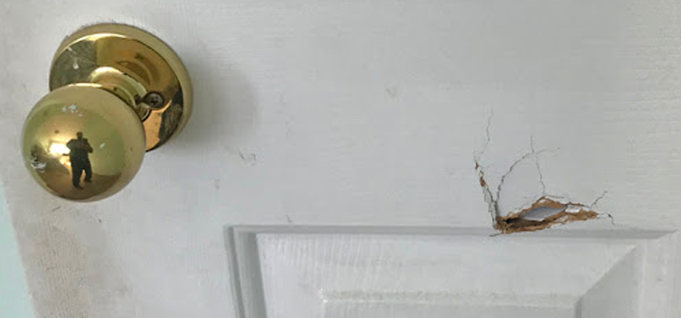 interior door hole repair Los Altos Hills